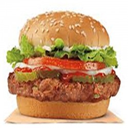 20a.  Vegetarian Burger